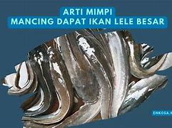 Mimpi Mancing Dapat Ikan Lele Banyak Togel